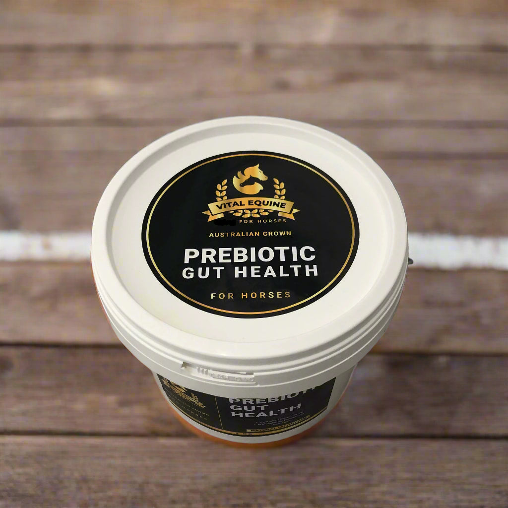 The Moulin Omega Blend | Equine Gut Health with Omega 3,6&9 (800g)