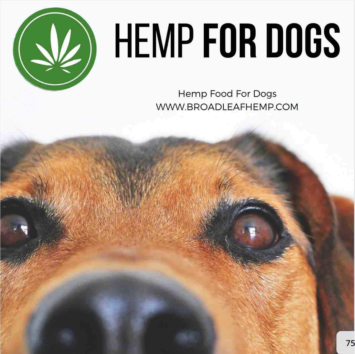 Hemp Oil For Dogs 250ml - Broadleaf Hemp