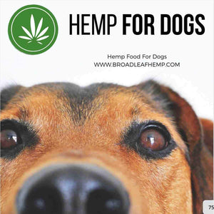 Bulk Hemp Seed Oil for Dogs 22L - Broadleaf Hemp