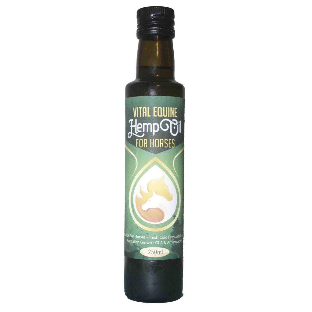 Hemp, Turmeric & Black Pepper Oil for Horses | Joints, Digestion, Health (250ml) | Vital Equine